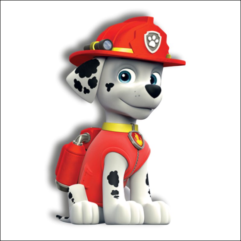 Paw patrol COL534