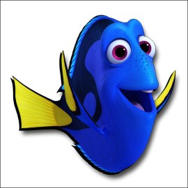 /Dory-COL171