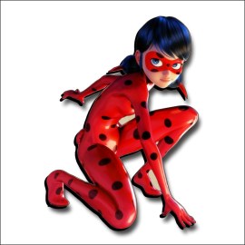/Lady-bug-COL168