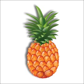 /ananas-COL255