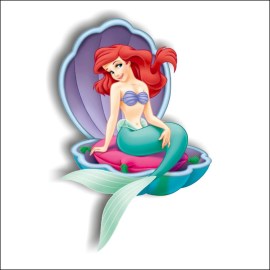 /ariel-COL566