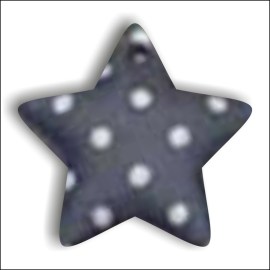 /asteraki-COL934