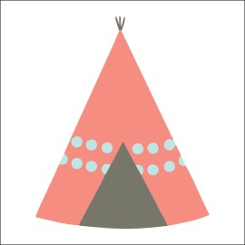 /indianiki-skini-COL042