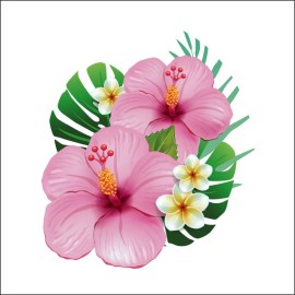 /louloidia-COL056